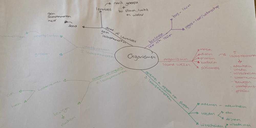 Een mindmap over organismen om informatie beter te onthouden